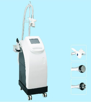 Gordura que congela a máquina esculpindo fresca de Cryolipolysis para o emagrecimento do corpo/cara