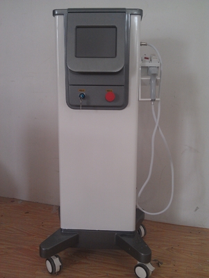 Máquina quente do rejuvenescimento da pele de Maggie RF com o chassi do cinza da tela de 8 polegadas
