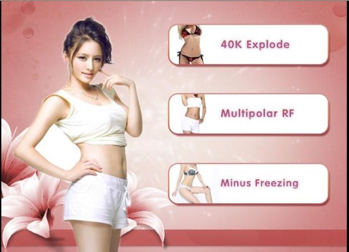 China 3 em 1 fornecedor perdido de congelação gordo da máquina da beleza do peso de Cryolipolysis