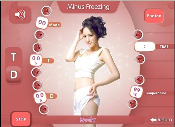 Fornecedor de congelação profissional do equipamento da beleza do emagrecimento de China Cryolipolysis